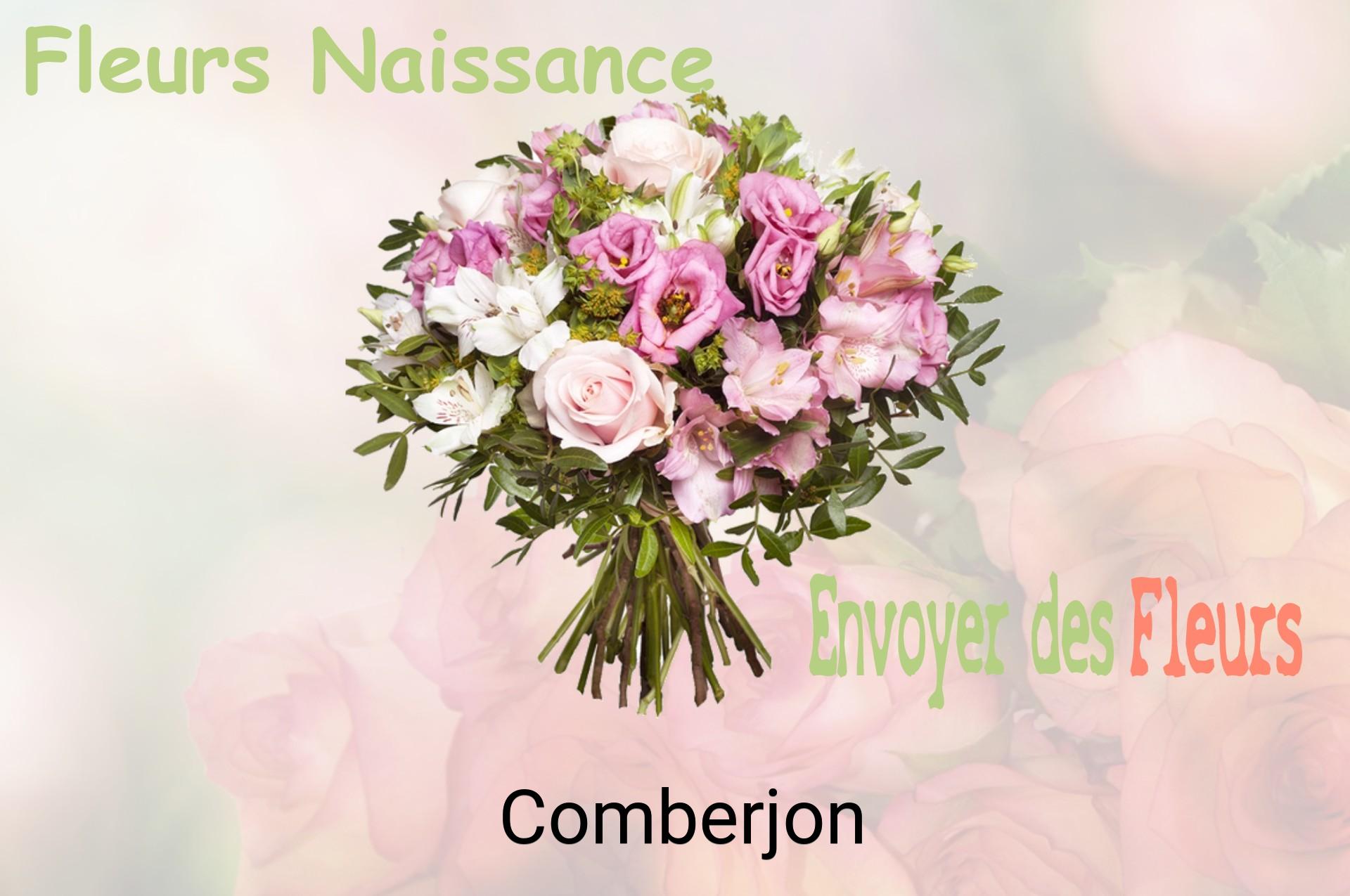 Bouquet de fleurs de naissance livré à Comberjon
